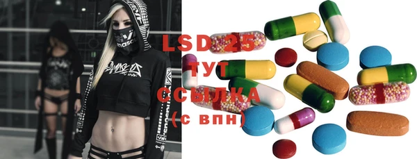 ГАЛЛЮЦИНОГЕННЫЕ ГРИБЫ Новозыбков